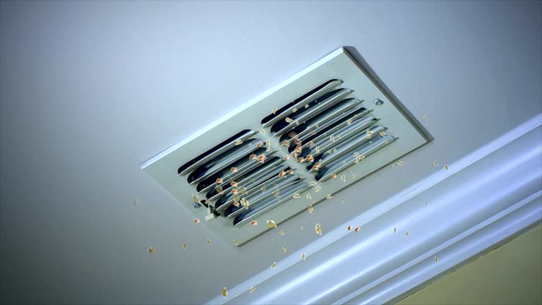 HVAC Maintenance and Cleaning in VA